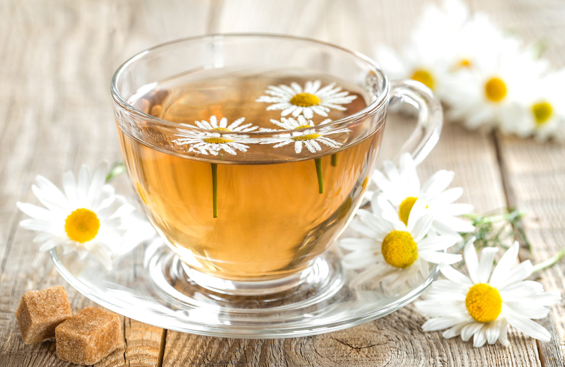 La Camomille Tisane 