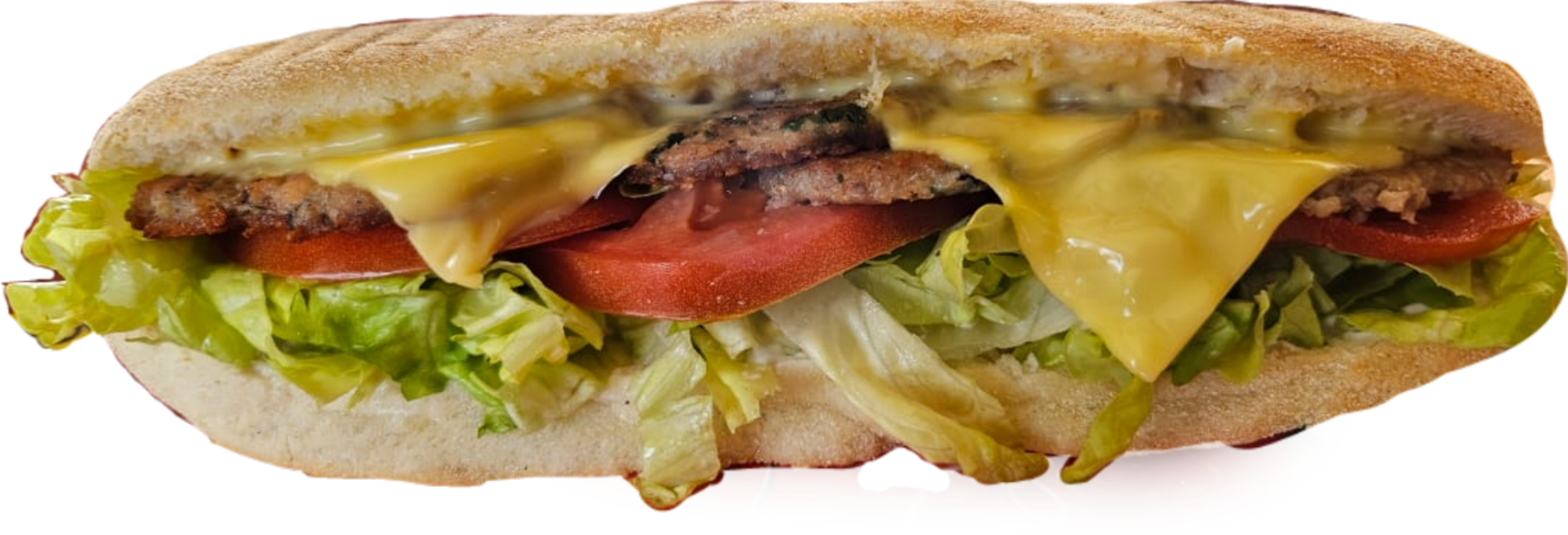 SANDWICH SPECIAL 46